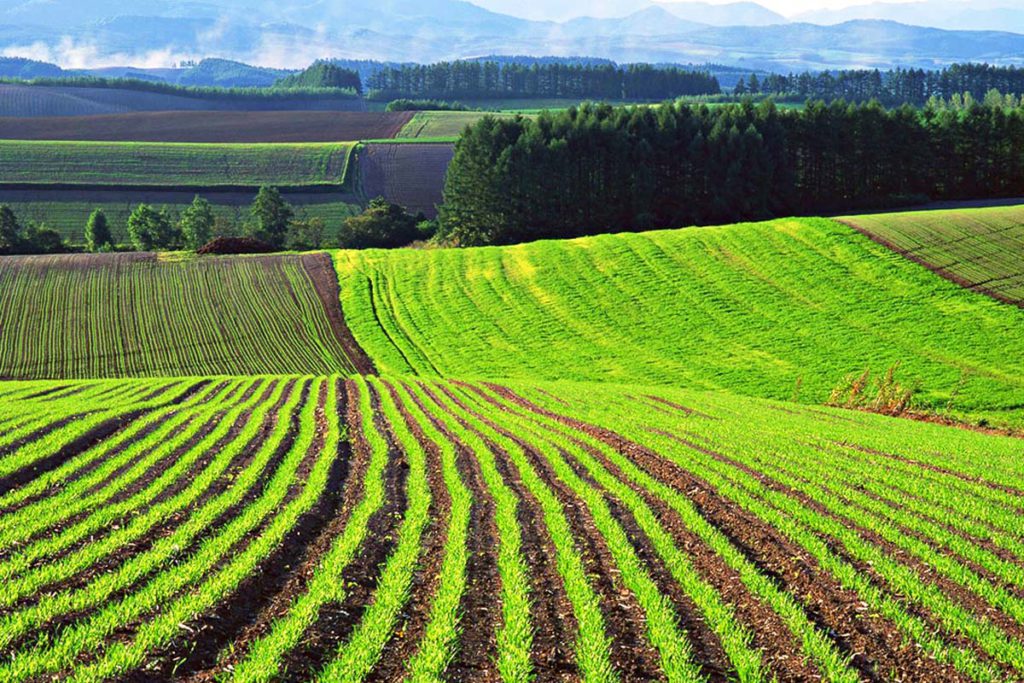Оценка земель сельскохозяйственного назначения